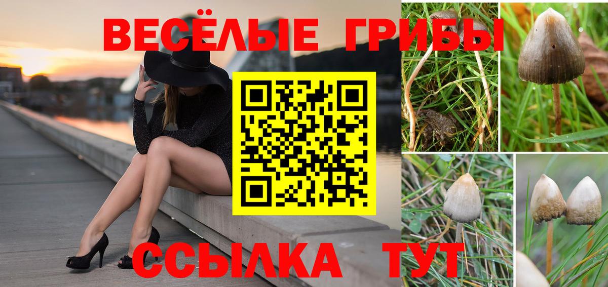 Галлюциногенные грибы мицелий  Галлюциногенные грибы мицелий  Вход с VPN  Крымск 